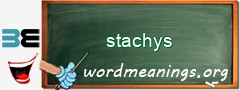 WordMeaning blackboard for stachys